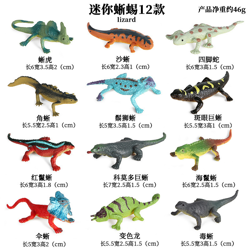 Children Early Education Simul - Model Kit Dinosaur Bandai 评论和价格