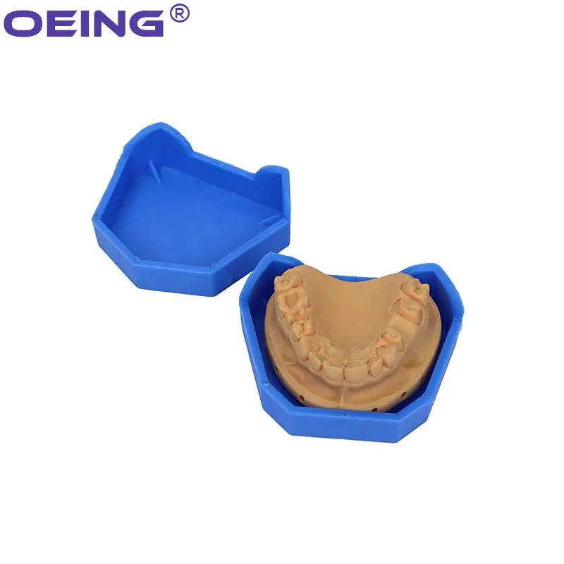 2/6Pcs Dental Model Base Silic - Model Kit Tool 评论和价格