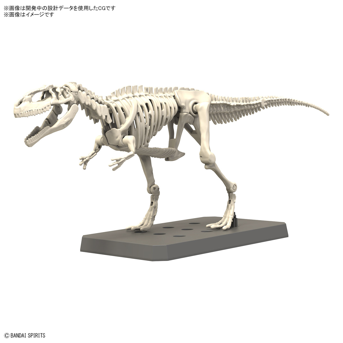 In Stock Originate BANDAI PLAN - Model Kit Dinosaur Bandai 评论和价格