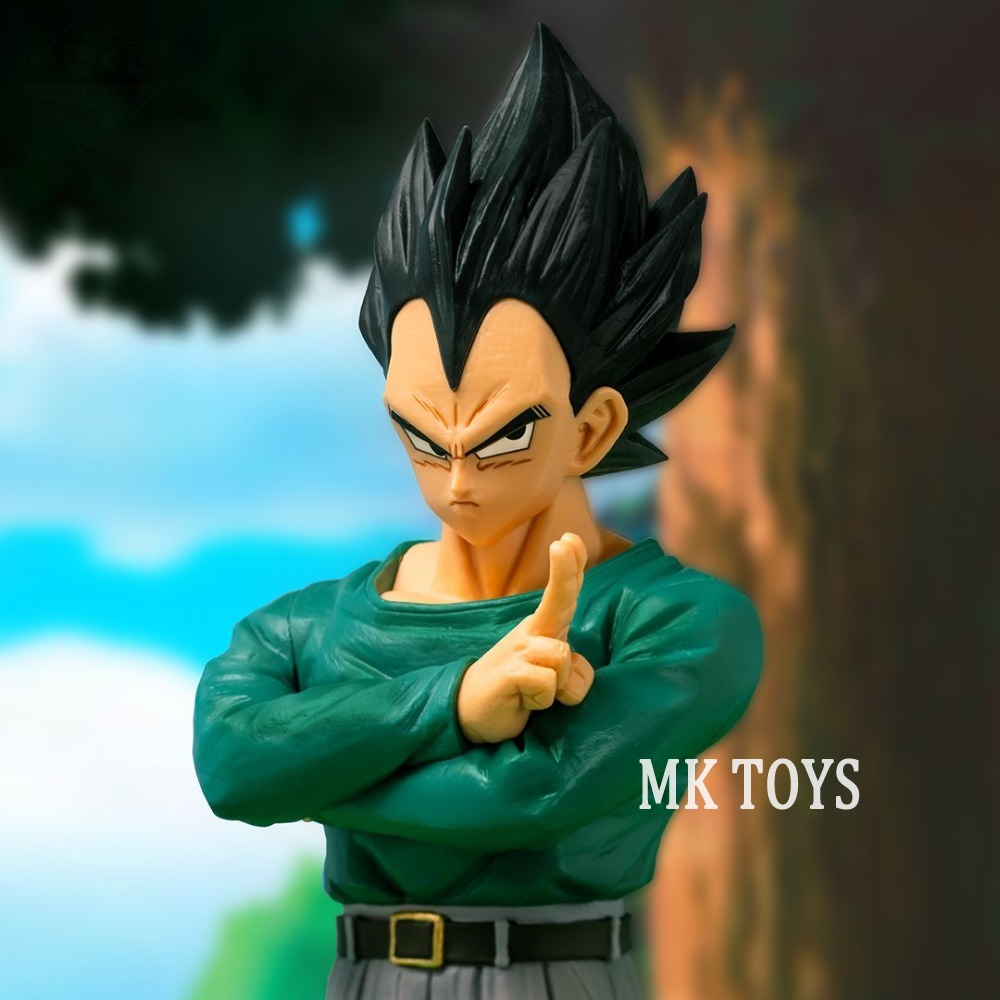 25cm/9.84in Anime Dragon Ball  - Model Kit Vegito 评论和价格