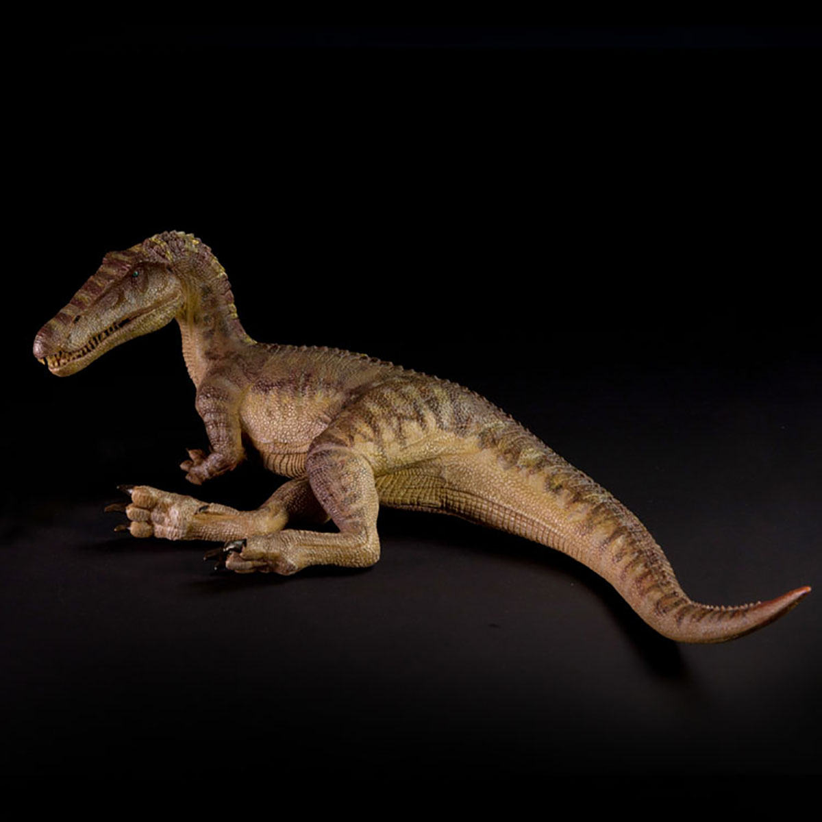 Spot SaleJurassic Nanmu Baryon - Model Kit Dinosaur Bandai 评论和价格