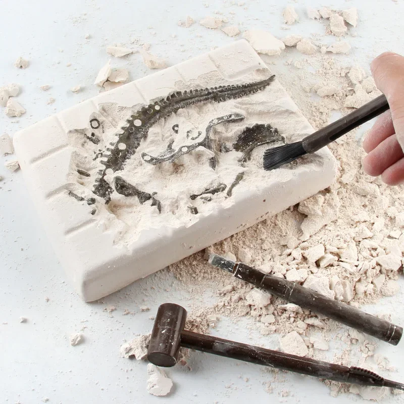 Dinosaur Excavation Fossil Arc - Model Kit Excavator 评论和价格