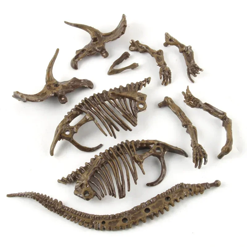 Dinosaur Excavation Fossil Arc - Model Kit Excavator 评论和价格