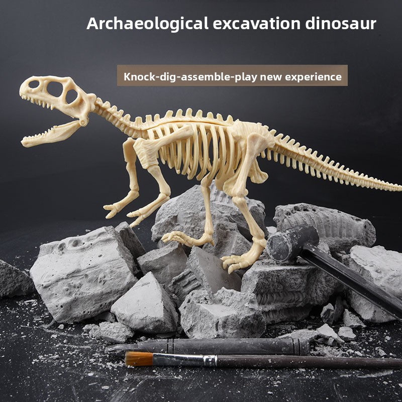 Dinosaur Fossil Excavation Kit - Model Kit Excavator 评论和价格
